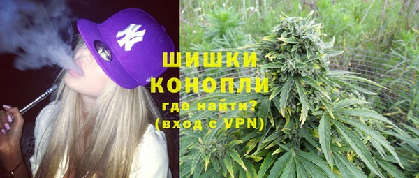 PSILOCYBIN Вязьма