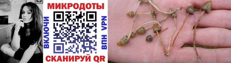 Псилоцибиновые грибы мицелий  это формула  Злынка  цена   ОМГ ОМГ как зайти 